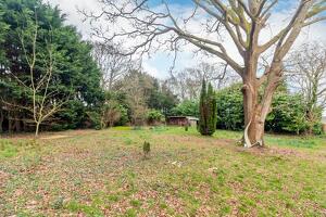 Picture #25 of Property #1037189541 in Picket Hill, Ringwood, New Forest BH24 3HH