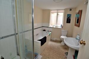 Picture #8 of Property #1085509731 in West Row, Wimborne BH21 1LA