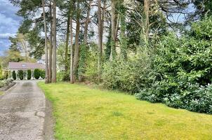Picture #21 of Property #1191930741 in Forest Edge Drive, Ashley Heath, Ringwood BH24 2ER