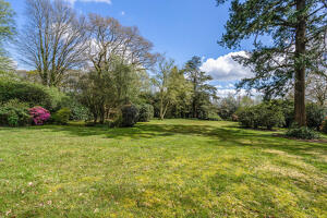 Picture #29 of Property #1239898641 in Picket Hill, Ringwood BH24 3HH
