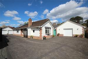 Picture #11 of Property #1274563341 in Lions Wood, St. Leonards, Ringwood BH24 2LU