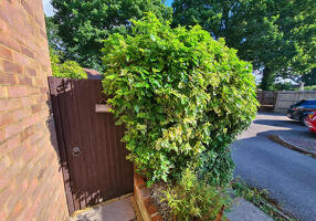 Picture #14 of Property #1316144631 in Alfred Close, West Totton SO40 8TD