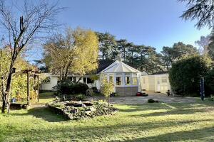 Picture #20 of Property #1329221241 in Cedar Avenue, St Leonards, Ringwood BH24 2QF