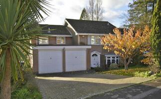 Picture #0 of Property #1366837641 in Pine Tree Close, Wimborne BH21 1BP