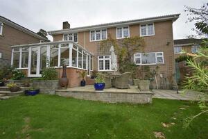 Picture #5 of Property #1366837641 in Pine Tree Close, Wimborne BH21 1BP