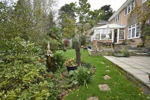 Picture #6 of Property #1366837641 in Pine Tree Close, Wimborne BH21 1BP