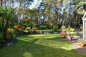 Picture #11 of Property #1431966441 in Egmont Drive, Avon Castle, Ringwood BH24 2BN
