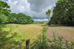 Picture #10 of Property #1594554831 in Lower Rowe, Holt, Wimborne BH21 7DZ