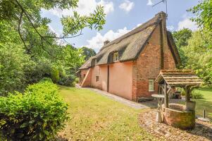 Picture #12 of Property #1594554831 in Lower Rowe, Holt, Wimborne BH21 7DZ