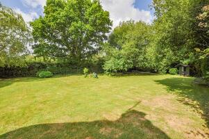 Picture #13 of Property #1594554831 in Lower Rowe, Holt, Wimborne BH21 7DZ