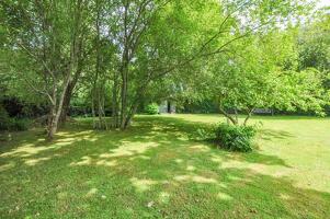 Picture #15 of Property #1594554831 in Lower Rowe, Holt, Wimborne BH21 7DZ