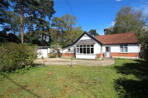Picture #0 of Property #1621830741 in Pinewood Road, St. Ives, Ringwood BH24 2PA