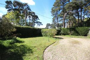 Picture #1 of Property #1621830741 in Pinewood Road, St. Ives, Ringwood BH24 2PA