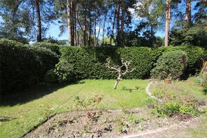 Picture #13 of Property #1621830741 in Pinewood Road, St. Ives, Ringwood BH24 2PA