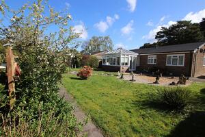 Picture #13 of Property #1731720741 in Craigside Road, St. Leonards, Ringwood BH24 2QX