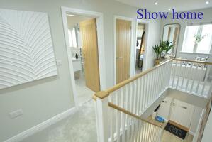Picture #21 of Property #1745485341 in Saxondale Gardens, Wimborne BH21 2BZ